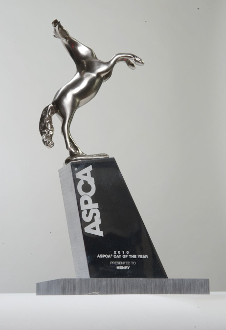 _PIC1414%20-%20Version%202