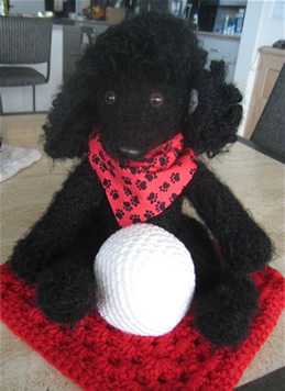 Dolly's Kibble for Thought