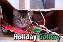 Holiday gallery
