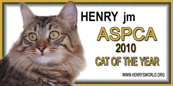 ASPCA "Cat of the Year"